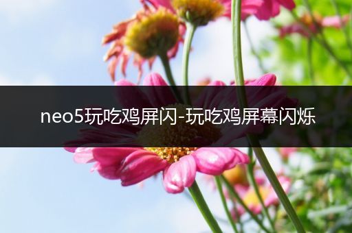 neo5玩吃鸡屏闪-玩吃鸡屏幕闪烁