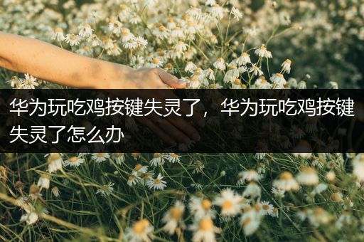 华为玩吃鸡按键失灵了，华为玩吃鸡按键失灵了怎么办