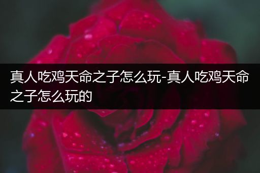 真人吃鸡天命之子怎么玩-真人吃鸡天命之子怎么玩的