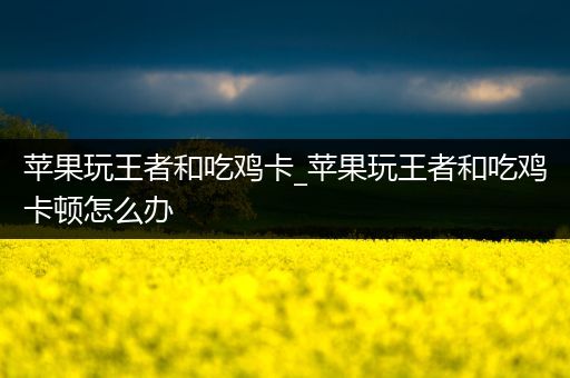 苹果玩王者和吃鸡卡_苹果玩王者和吃鸡卡顿怎么办