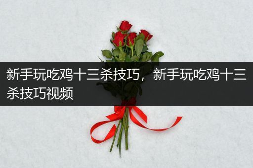 新手玩吃鸡十三杀技巧，新手玩吃鸡十三杀技巧视频