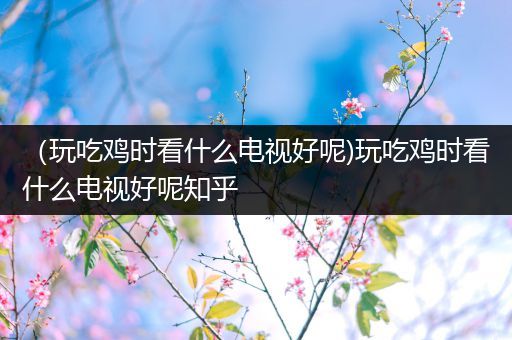 （玩吃鸡时看什么电视好呢)玩吃鸡时看什么电视好呢知乎