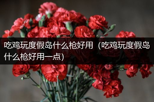 吃鸡玩度假岛什么枪好用（吃鸡玩度假岛什么枪好用一点）