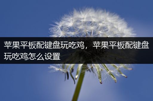 苹果平板配键盘玩吃鸡，苹果平板配键盘玩吃鸡怎么设置