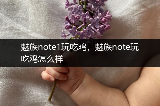 魅族note1玩吃鸡，魅族note玩吃鸡怎么样