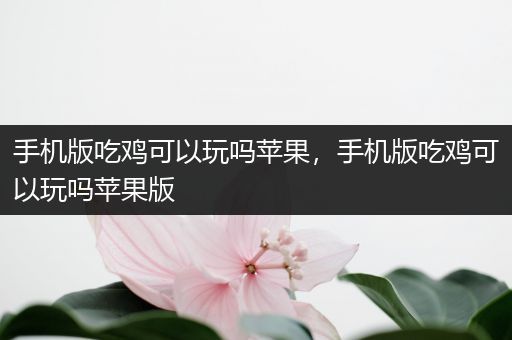 手机版吃鸡可以玩吗苹果，手机版吃鸡可以玩吗苹果版