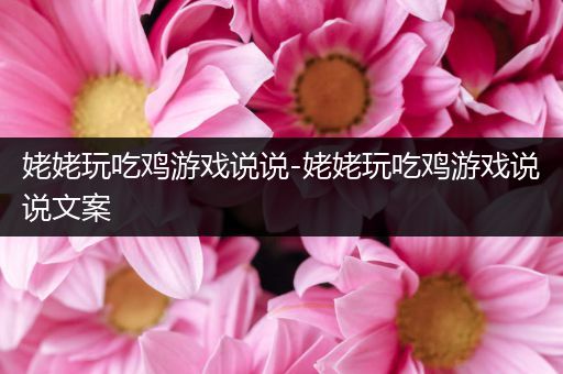 姥姥玩吃鸡游戏说说-姥姥玩吃鸡游戏说说文案
