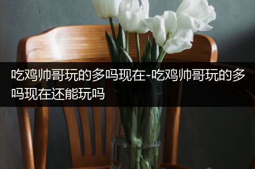 吃鸡帅哥玩的多吗现在-吃鸡帅哥玩的多吗现在还能玩吗