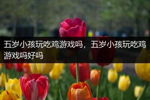 五岁小孩玩吃鸡游戏吗，五岁小孩玩吃鸡游戏吗好吗