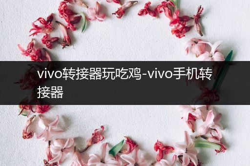 vivo转接器玩吃鸡-vivo手机转接器