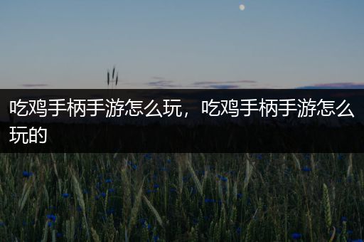 吃鸡手柄手游怎么玩，吃鸡手柄手游怎么玩的