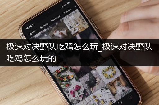极速对决野队吃鸡怎么玩_极速对决野队吃鸡怎么玩的