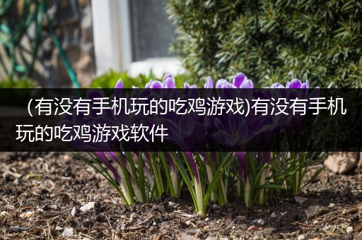 （有没有手机玩的吃鸡游戏)有没有手机玩的吃鸡游戏软件