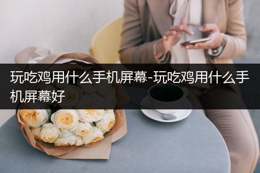玩吃鸡用什么手机屏幕-玩吃鸡用什么手机屏幕好