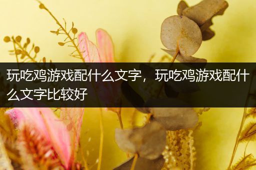 玩吃鸡游戏配什么文字，玩吃鸡游戏配什么文字比较好