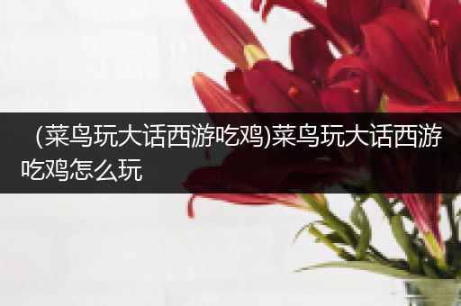 （菜鸟玩大话西游吃鸡)菜鸟玩大话西游吃鸡怎么玩
