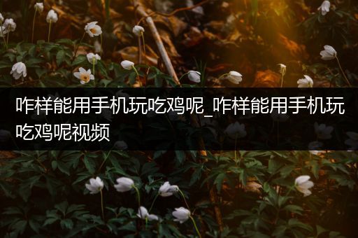 咋样能用手机玩吃鸡呢_咋样能用手机玩吃鸡呢视频