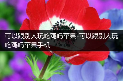 可以跟别人玩吃鸡吗苹果-可以跟别人玩吃鸡吗苹果手机