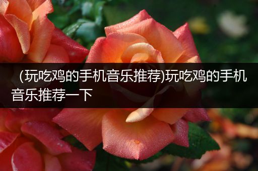 （玩吃鸡的手机音乐推荐)玩吃鸡的手机音乐推荐一下