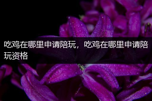 吃鸡在哪里申请陪玩，吃鸡在哪里申请陪玩资格