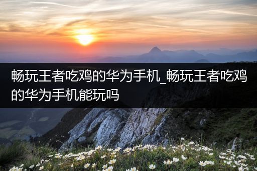 畅玩王者吃鸡的华为手机_畅玩王者吃鸡的华为手机能玩吗