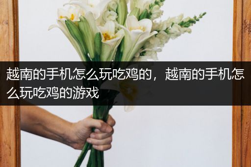越南的手机怎么玩吃鸡的，越南的手机怎么玩吃鸡的游戏