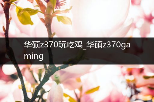 华硕z370玩吃鸡_华硕z370gaming