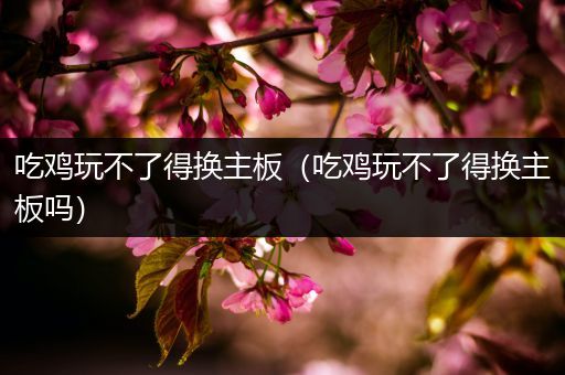 吃鸡玩不了得换主板（吃鸡玩不了得换主板吗）