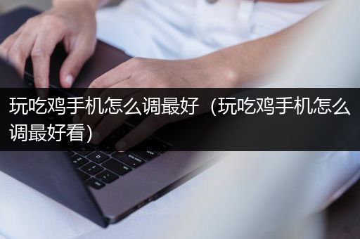 玩吃鸡手机怎么调最好（玩吃鸡手机怎么调最好看）