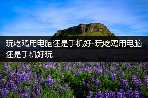 玩吃鸡用电脑还是手机好-玩吃鸡用电脑还是手机好玩