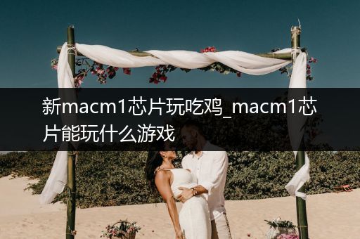 新macm1芯片玩吃鸡_macm1芯片能玩什么游戏
