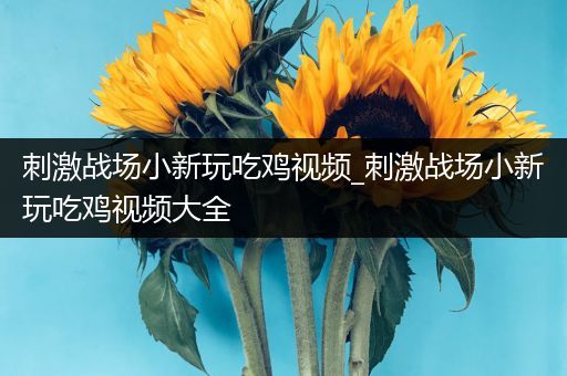 刺激战场小新玩吃鸡视频_刺激战场小新玩吃鸡视频大全