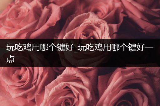 玩吃鸡用哪个键好_玩吃鸡用哪个键好一点