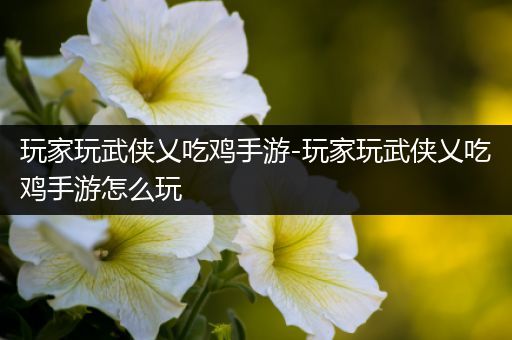 玩家玩武侠乂吃鸡手游-玩家玩武侠乂吃鸡手游怎么玩