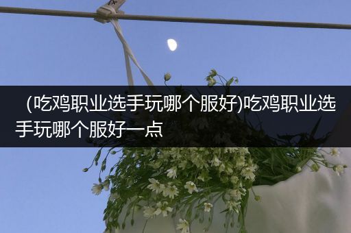 （吃鸡职业选手玩哪个服好)吃鸡职业选手玩哪个服好一点