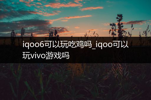 iqoo6可以玩吃鸡吗_iqoo可以玩vivo游戏吗