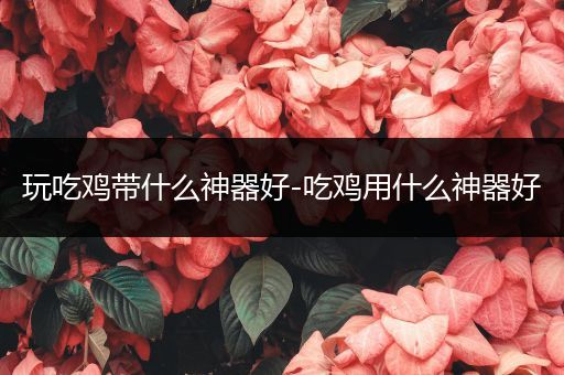 玩吃鸡带什么神器好-吃鸡用什么神器好