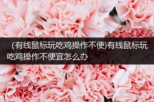 （有线鼠标玩吃鸡操作不便)有线鼠标玩吃鸡操作不便宜怎么办