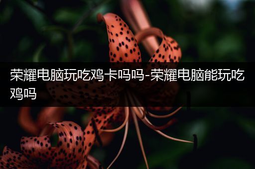 荣耀电脑玩吃鸡卡吗吗-荣耀电脑能玩吃鸡吗