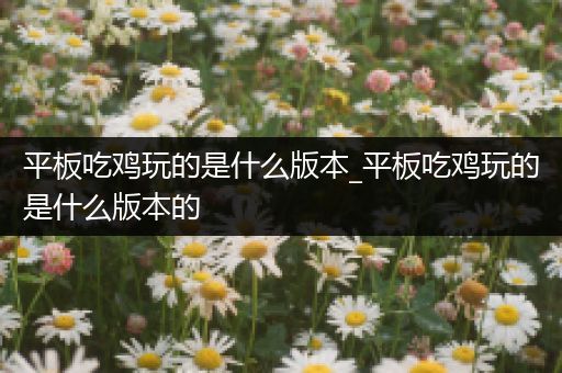平板吃鸡玩的是什么版本_平板吃鸡玩的是什么版本的