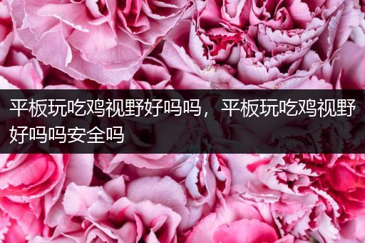 平板玩吃鸡视野好吗吗，平板玩吃鸡视野好吗吗安全吗