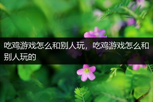 吃鸡游戏怎么和别人玩，吃鸡游戏怎么和别人玩的