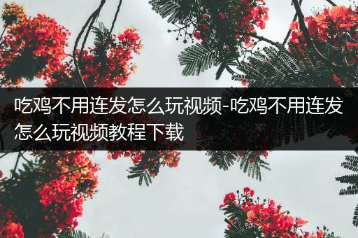 吃鸡不用连发怎么玩视频-吃鸡不用连发怎么玩视频教程下载
