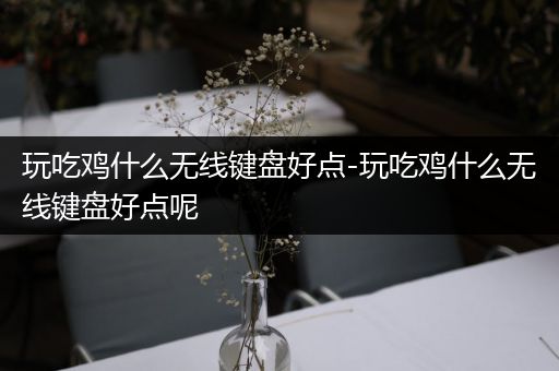 玩吃鸡什么无线键盘好点-玩吃鸡什么无线键盘好点呢