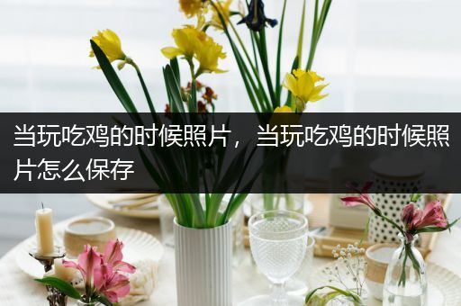当玩吃鸡的时候照片，当玩吃鸡的时候照片怎么保存