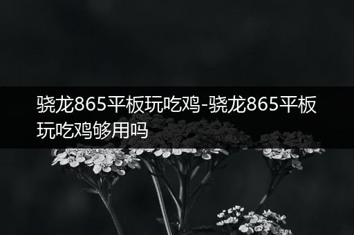 骁龙865平板玩吃鸡-骁龙865平板玩吃鸡够用吗