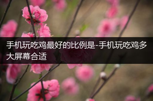 手机玩吃鸡最好的比例是-手机玩吃鸡多大屏幕合适