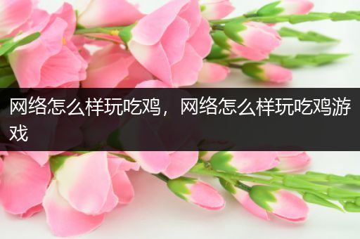 网络怎么样玩吃鸡，网络怎么样玩吃鸡游戏