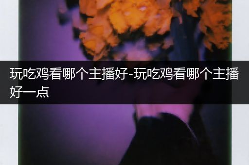 玩吃鸡看哪个主播好-玩吃鸡看哪个主播好一点