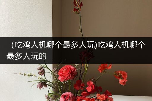 （吃鸡人机哪个最多人玩)吃鸡人机哪个最多人玩的